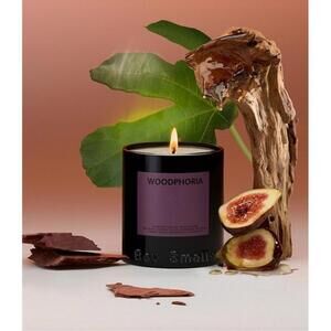 🆕 Boy Smells Woodphoria Luxury Candle Fig Sandalwood Woodsy Musk Masculine NIB